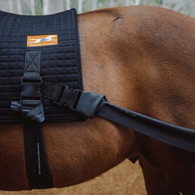 Equiband™ Pro